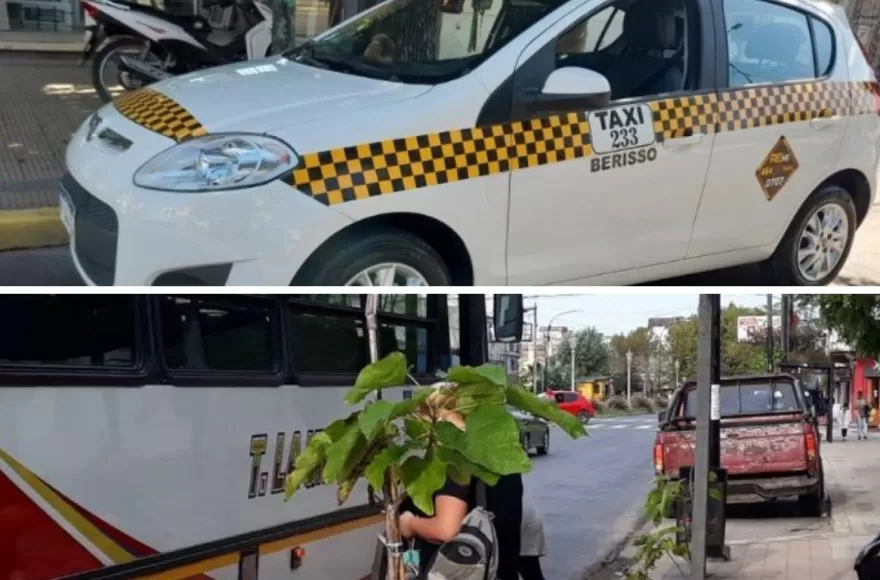 Taxistas de Berisso advierten más demanda por la baja frecuencia de colectivos