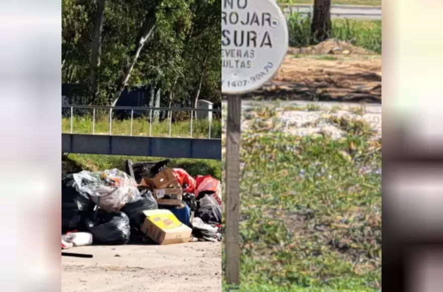 La Municipalidad intervino tras la publicación de BerissoCiudad.