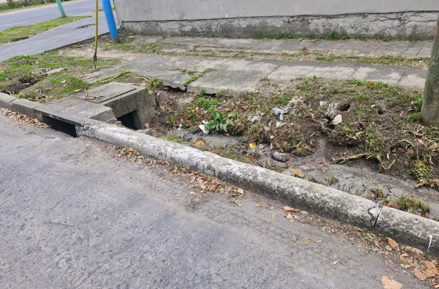Según relataron habitantes del barrio, durante las últimas semanas se volvió habitual observar ratas de gran tamaño.