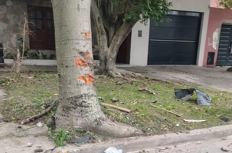 Chocó contra un árbol y volcó en 4 y 164