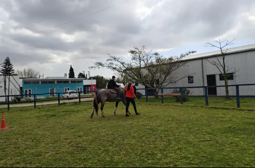 La equinoterapia resuena con fuerza en los hogares.