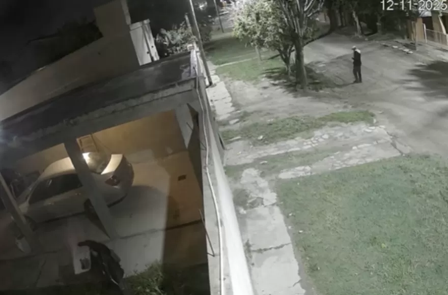 Abajo a la izquierda se ve a un ladrón llevándose algo mientras su cómplice espera en la calle.