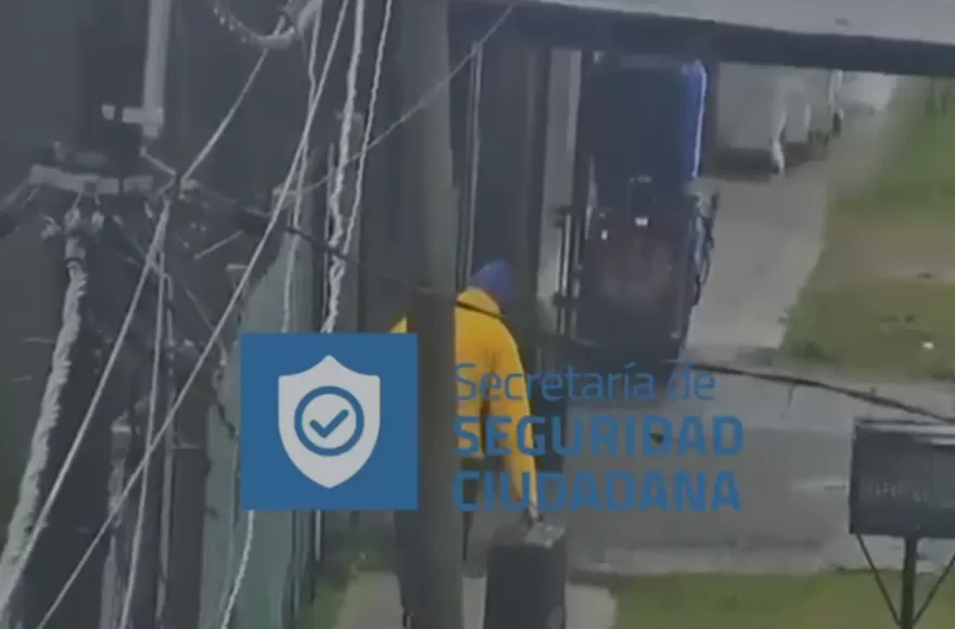Imagen de los menores trasladando el botín.