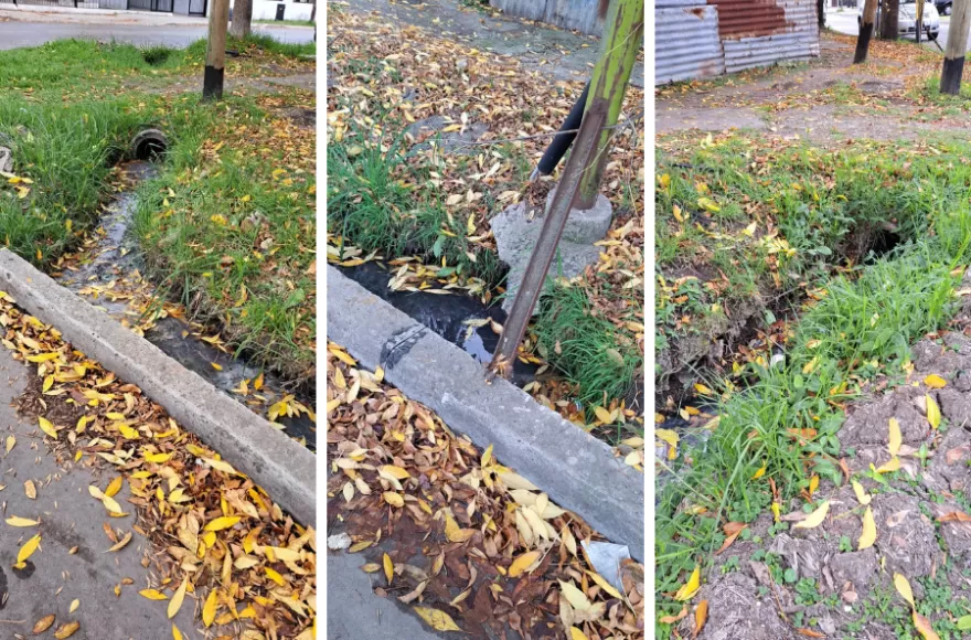 Además del agua, los vecinos alertaron por el olor a podrido.