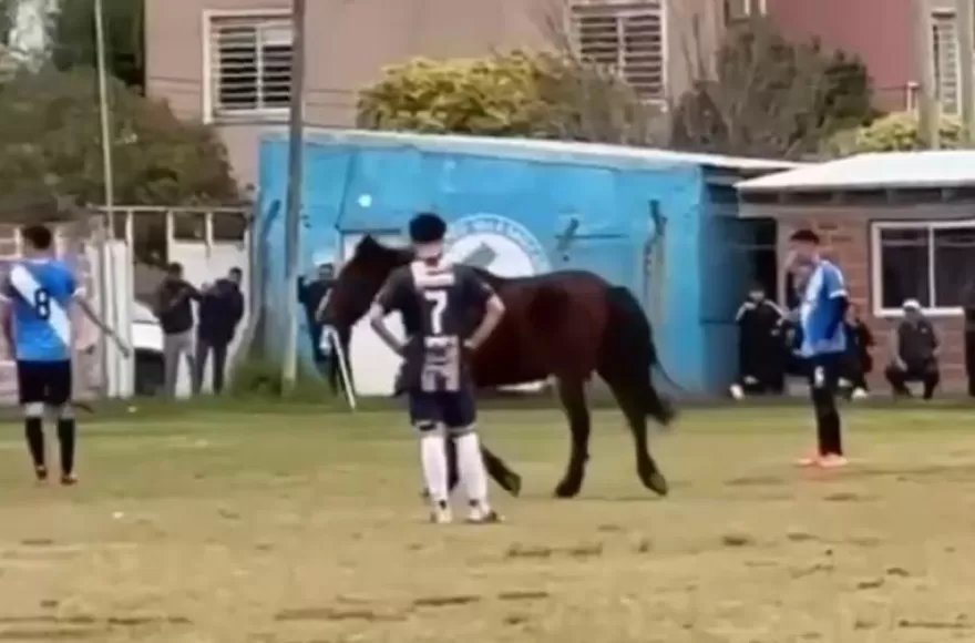 Ins&oacute;lita visita en Villa San Carlos: un caballo se sum&oacute; al partido