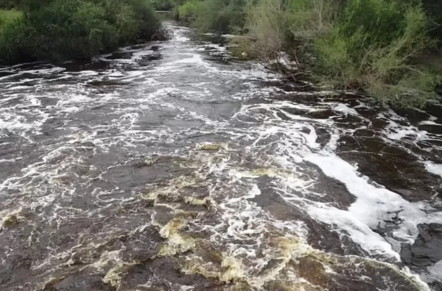 Llega a Berisso la iniciativa internacional Walking Rivers 2026