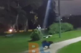 Insólita aparición en el skate park