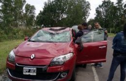 Una rama cayó sobre un automóvil en la avenida 60