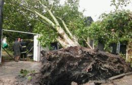 Consecuencias del temporal en nuestra ciudad