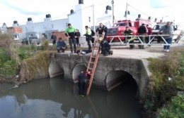 Ardua labor de bomberos para rescatar a una perrita que había caído a un desagüe