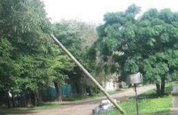 Un camión tiró un poste, cortó el cable del teléfono y nadie da respuestas