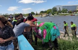 Rescate de un equino que cayó en el Canal de la Génova