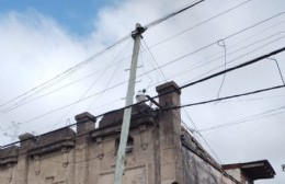 La calle 3 y un palo a punto de caer: vecinos piden intervención para evitar un desastre