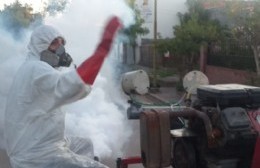 Se refuerzan las acciones de fumigación