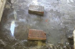 Desborde cloacal afecta a varios vecinos de la calle 40 entre 126 y 127