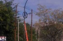 Fibra óptica en Berisso: ¿Instalaciones regulares o irregulares?