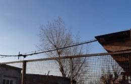 Cables pelados sobre el techo de una vivienda: "Vinieron, dejaron todo así y hasta que no pase una desgracia no vuelven más"