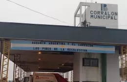 El Corralón Municipal ya juega la final: apareció un pasacalle de aliento a la Selección Argentina