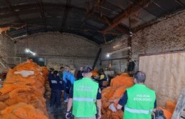 Clausura preventiva de una curtiembre por serias irregularidades
