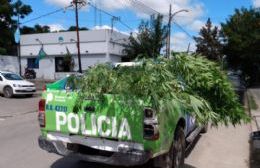 Allanamiento en El Carmen: Secuestran droga y un arma