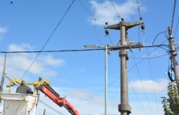 Avanzan las tareas de instalación del alumbrado público sobre calle 8 entre 124 y 143