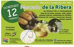 Abre sus puertas el Mercado de la Ribera