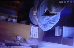 Vecino compartió el video de un robo perpetrado por su propia empleada doméstica