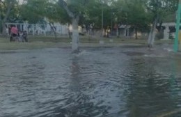 "Laguna" en Plaza Almafuerte