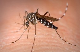 Contra el dengue "hay mucho por trabajar y hacer"