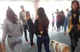 Denuncian "gran irresponsabilidad" de los dueños de animales en la Fiesta del Inmigrante