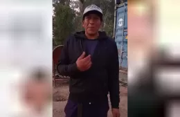 El desgarrador relato del dueño de un perrito atropellado