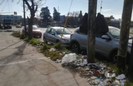 Vecinos piden que alguien se haga cargo de recoger la basura en Montevideo y 3