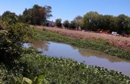 Canal de la Génova: Basura y camalote