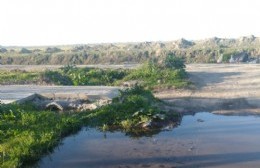 A la espera del arreglo de un desagüe en 40 y 130