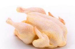 Venta de pollos en la Escuela Agraria