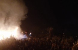 Importante incendio de pastizales en La Balandra: Intervinieron cinco dotaciones de bomberos