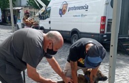 Atención Primaria y cirugías junto al Programa Nacional Protenencia