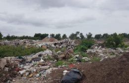 Basural a cielo abierto en La Franja