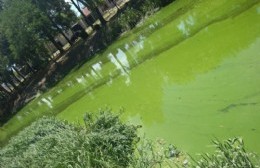 El Canal Génova se tiñó de verde flúo y no por el respaldo al aborto legal