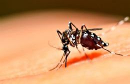 Lanzan campaña de prevención contra el dengue
