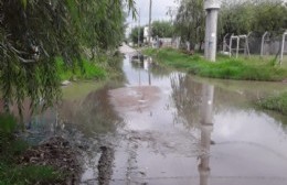 Foco infeccioso: Agua estancada en la esquina de 91 y 129