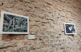 De efímero a eterno: Johana Bautista presentó su arte en la Casa de Cultura, un proyecto que trascendió el aula