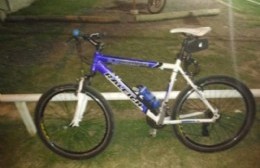 Denunció el robo de su bicicleta y pide desesperadamente recuperarla