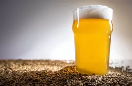 El Patio Cervecero Almafuerte realizará una degustación de cervezas