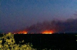 Incendio en campos de Berisso: no habría riesgos