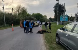 Una camioneta impactó contra un caballo en la zona de Alto Los Talas