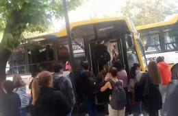 Caos para volver a Berisso: vecinos quedan varados en La Plata por colectivos repletos