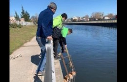 Rescataron a un perro que había quedado atrapado en las escaleras del canal de la Génova