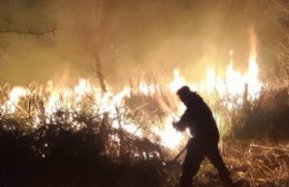 Incendio de pastizales en Los Talas: "Ya está todo controlado"
