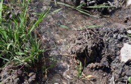 Cotilap: se robaron un caño y dejaron a 30 familias sin agua